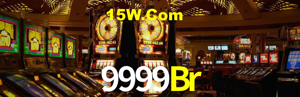 Premium Interface 9999Br